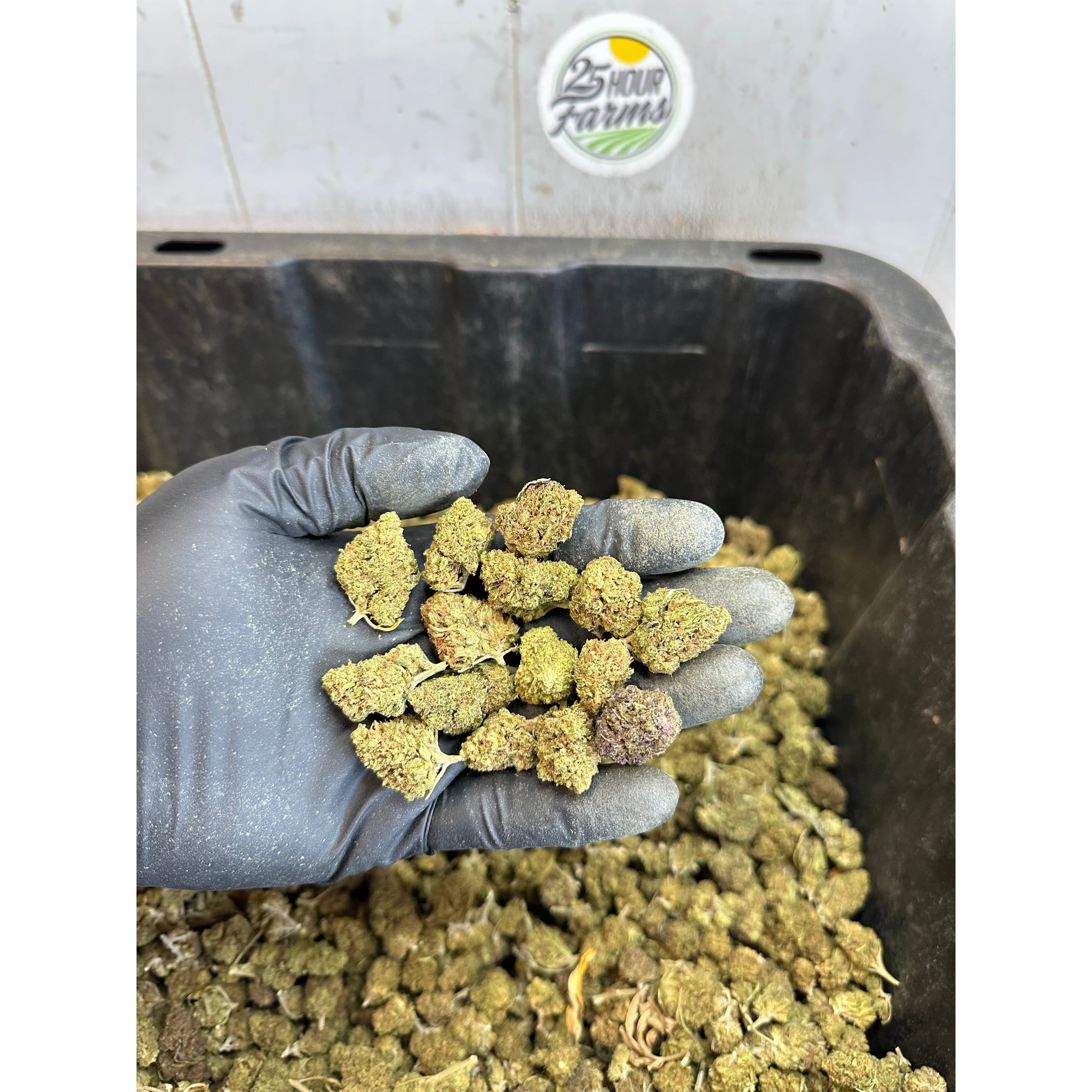 Froot Funk Hemp Flower Smalls